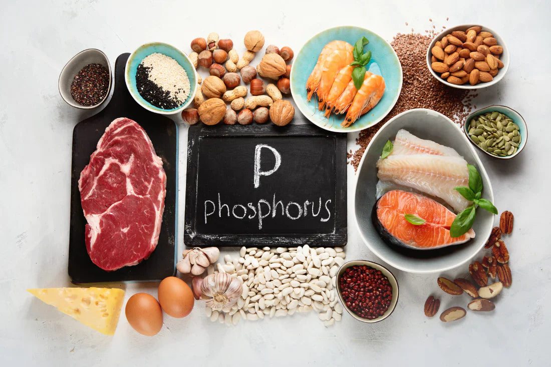 Fósforo para el cerebro y la memoria: alimentos, suplementos y consejos práctico